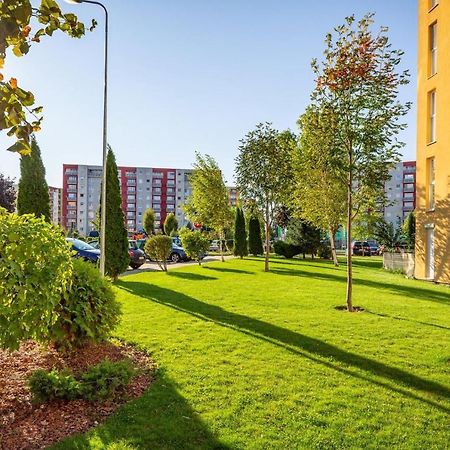 Apartment Richy Brasov Exterior photo
